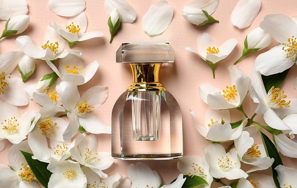 گروه عطر روحانی ، بهترین عطر فروشی مشهد ، بهترین عطرهای مردانه ، بهترین عطرهای زنانه ، عطر و ادکلن