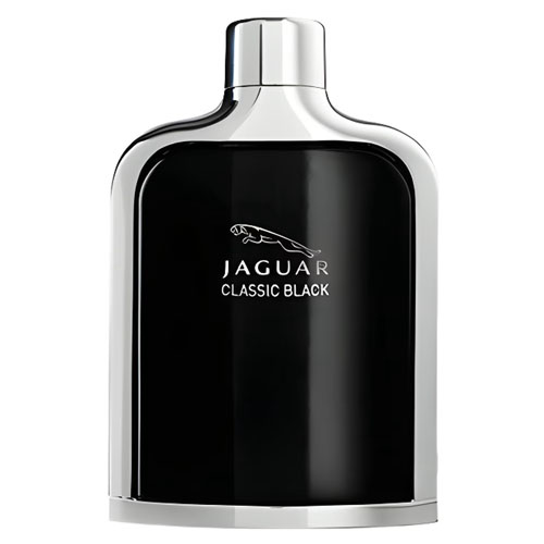 گروه عطر روحانی ، بهترین عطر فروشی مشهد ، بهترین عطرهای مردانه ، بهترین عطرهای زنانه ، عطر و ادکلن ، جگوار کلاسیک بلک